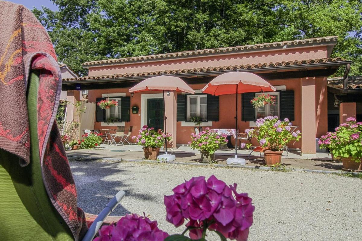 Dalibor In Jakacici - Haus Fuer 2-4 Personen Gracisce Экстерьер фото